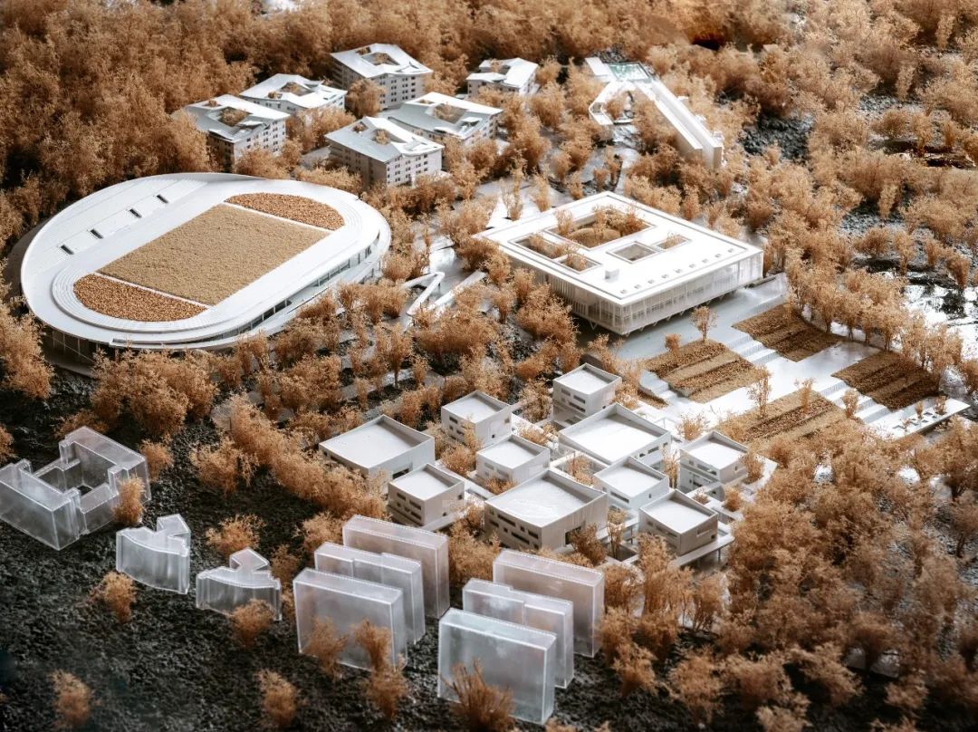 立木设计亮相 UIA2020,分享极致自然与树林漫步的两个新项目-55