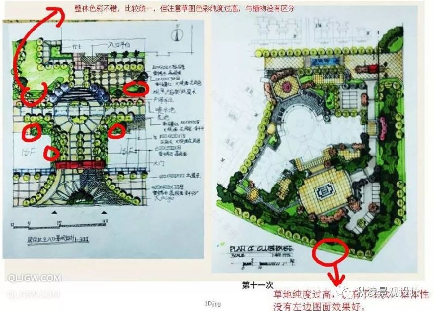 色彩搭配助力景观设计 | 让方案更生动、更具吸引力-95