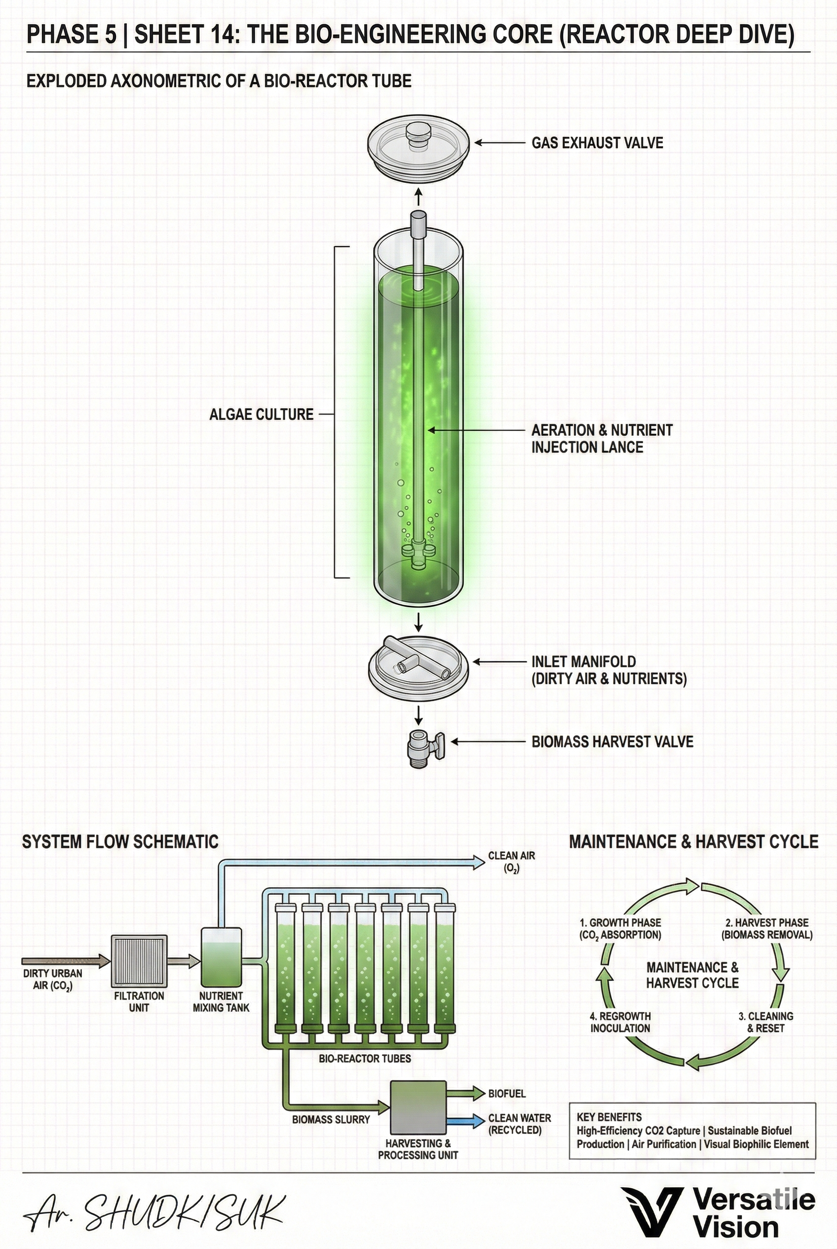 The Photonic Bridge（光子桥）-14