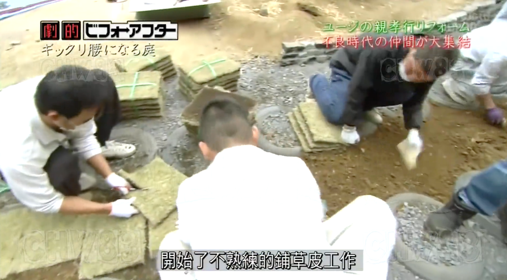 废墟庭院,漏水露台花园改造丨日本大阪丨金井良一-45