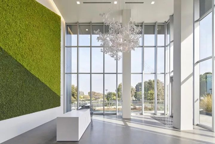 加州布里斯班滨海大道办公大楼室内外改造-22