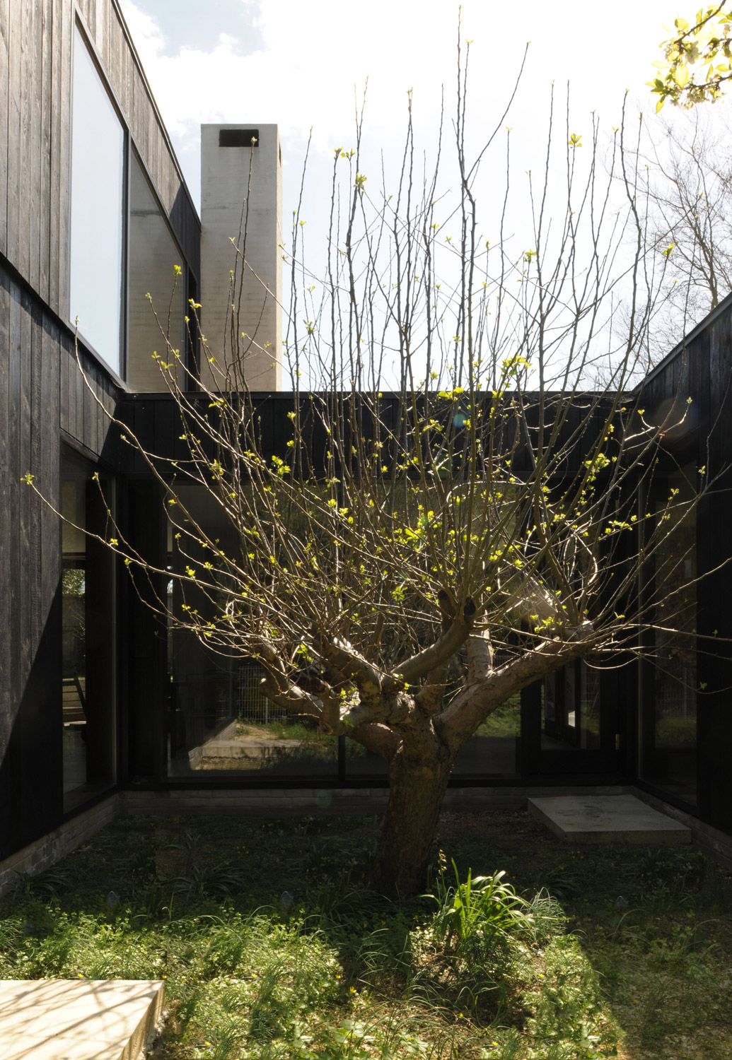 果园中的木结构家园——室内设计之美-9