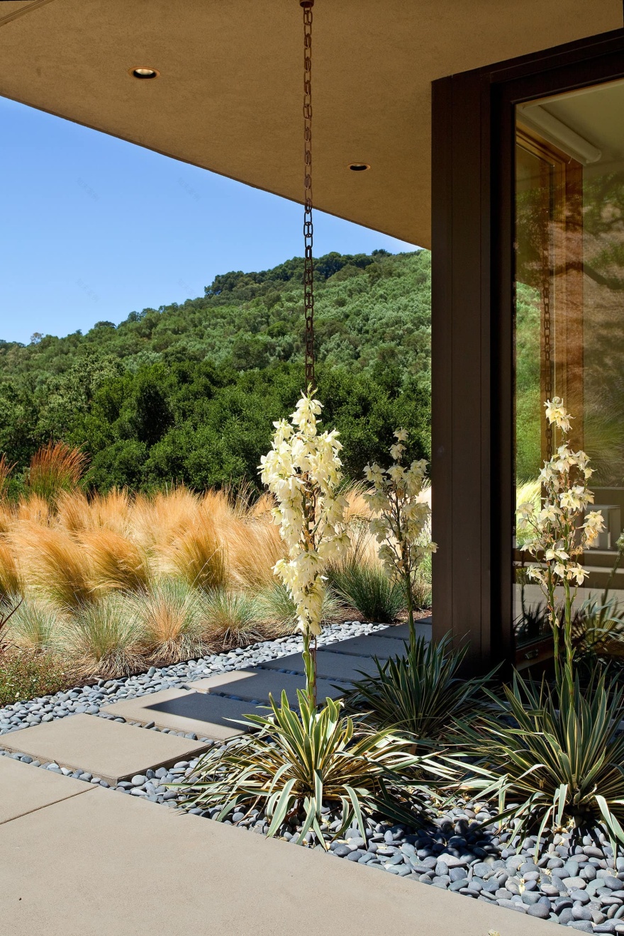 Sunol住宅景观设计丨美国-13