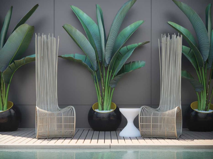 棕榈湾住宅的优雅蜕变-12