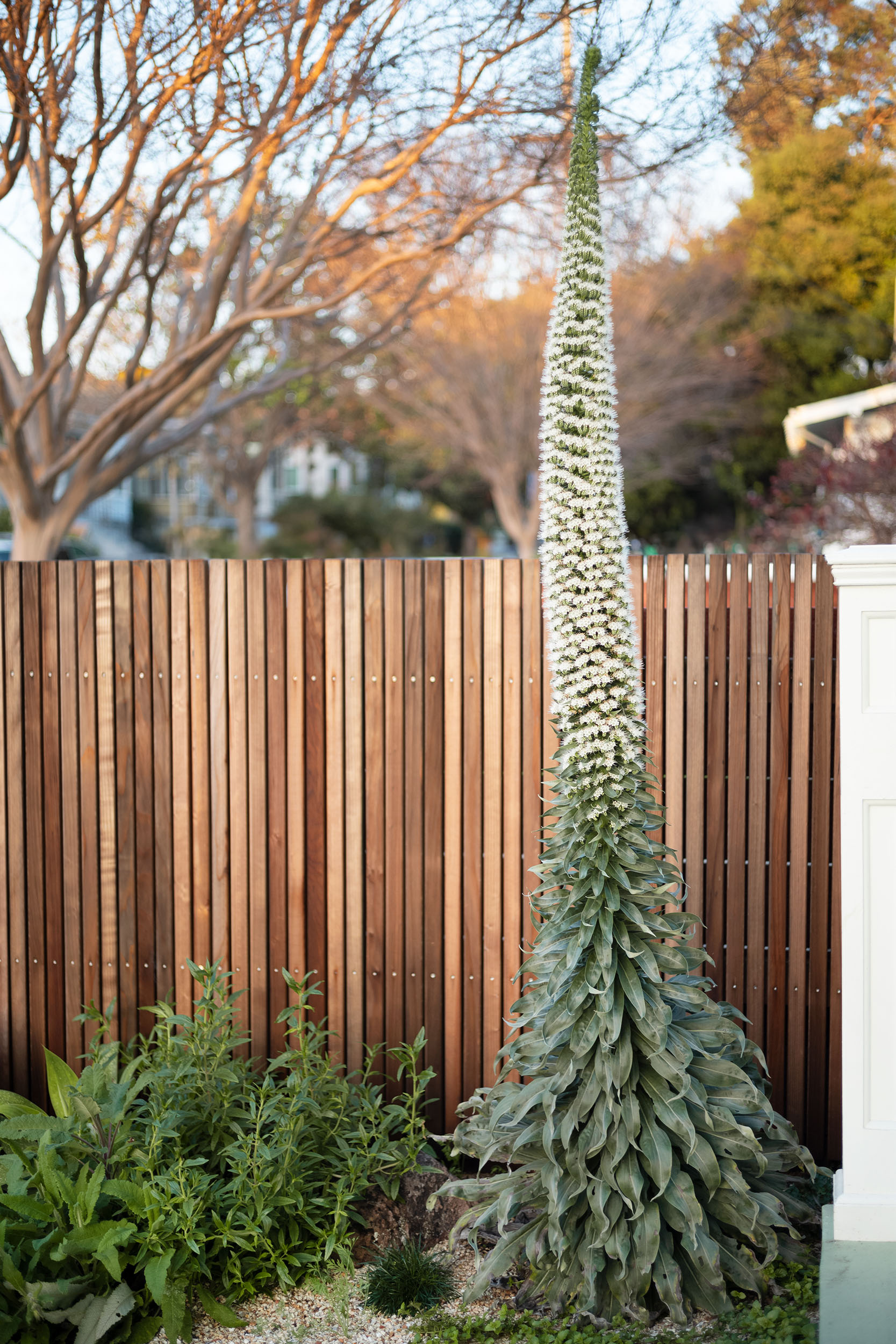 身边风景 | Soft Studio-26