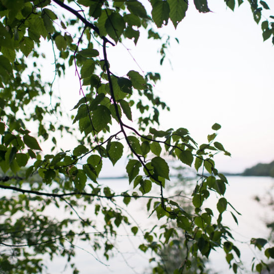 Timothy Johnson Design | Lake Muskoka-16