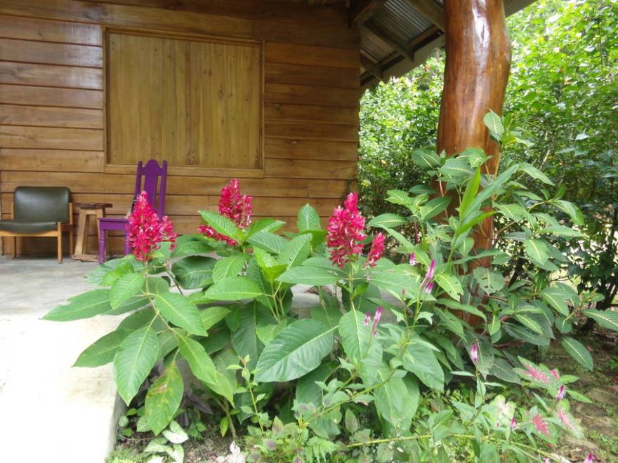 外府木质房屋建造创意项目-21