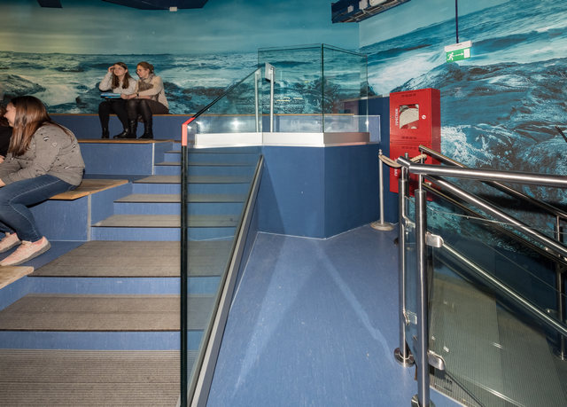 圣彼得堡海洋馆新展览创建项目丨俄罗斯圣彼得堡-22