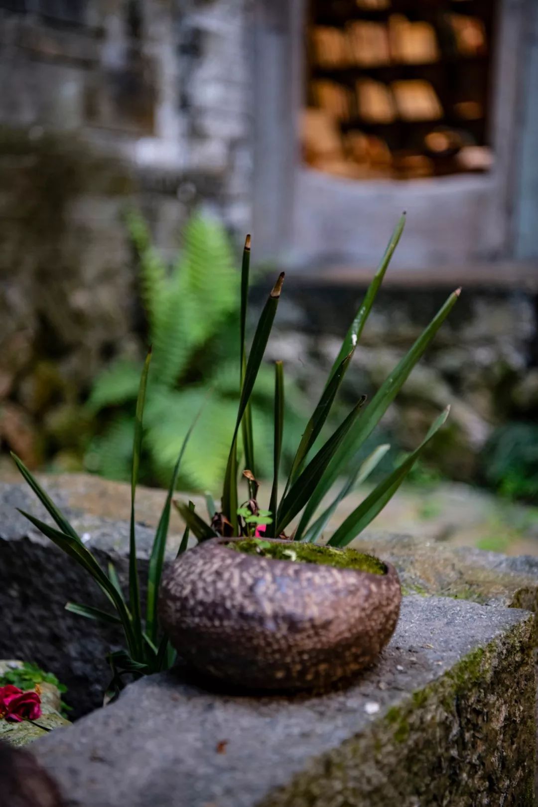 归隐深山,客家土楼变身为文化行馆-98
