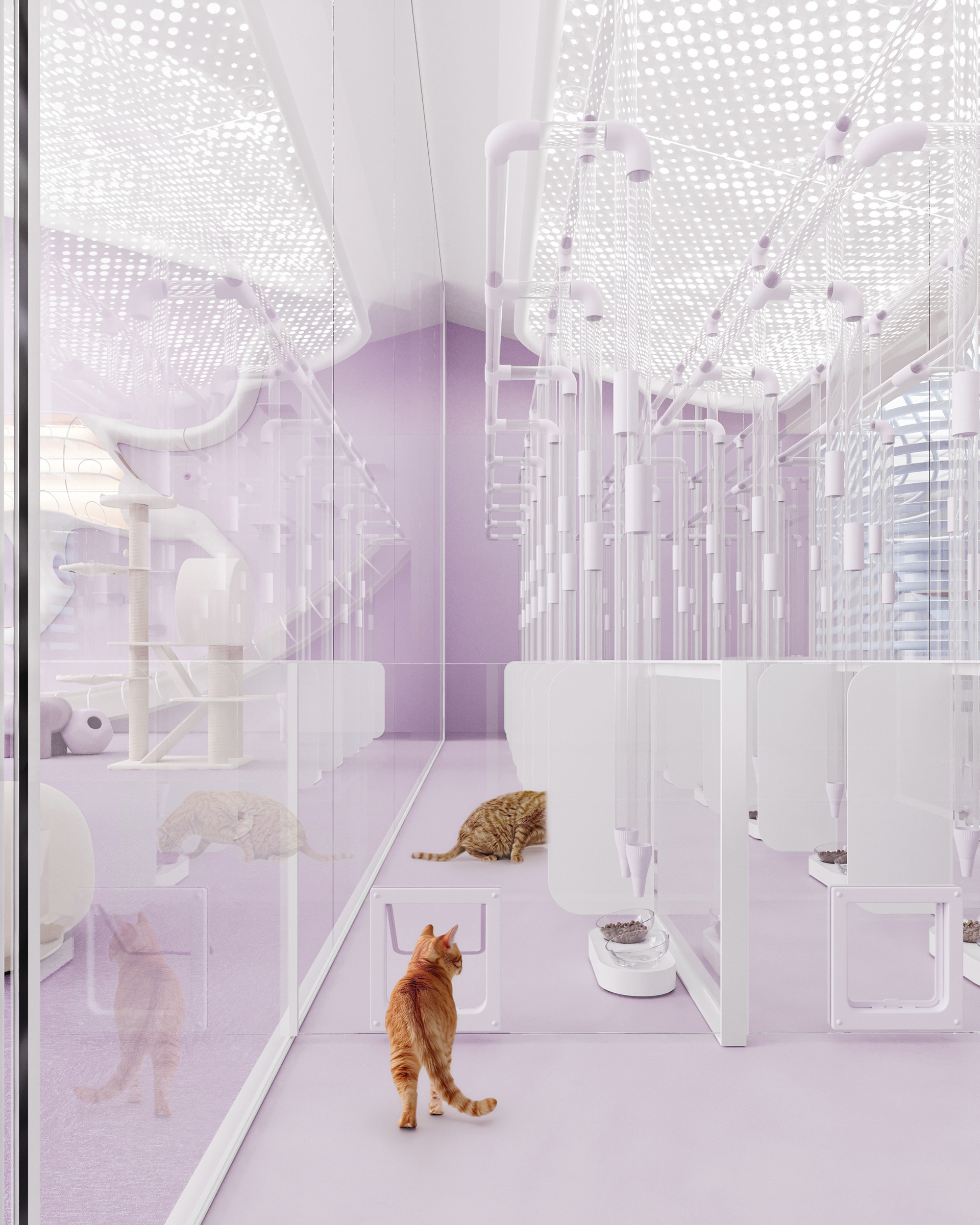 Echoes of the Heart: Healing Center P2-51