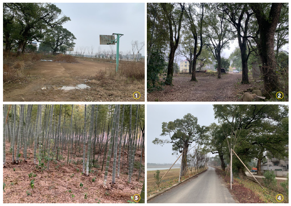 大溪滩香樟露营基地 | 中国美院风景建筑设计研究总院 | 中国浙江衢州-8