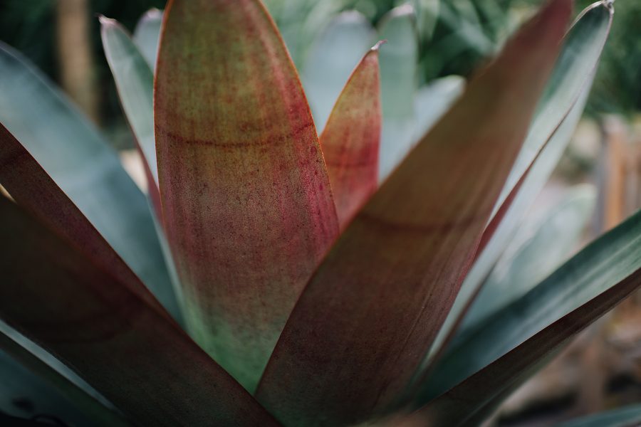 赫斯基森项目  GNK景观设计公司（这里GNK为特定名称，若无更多背景难以更精准翻译，推测一般为专业领域的公司名称，Landscapes可理解为景观设计公司等相关含义） -33