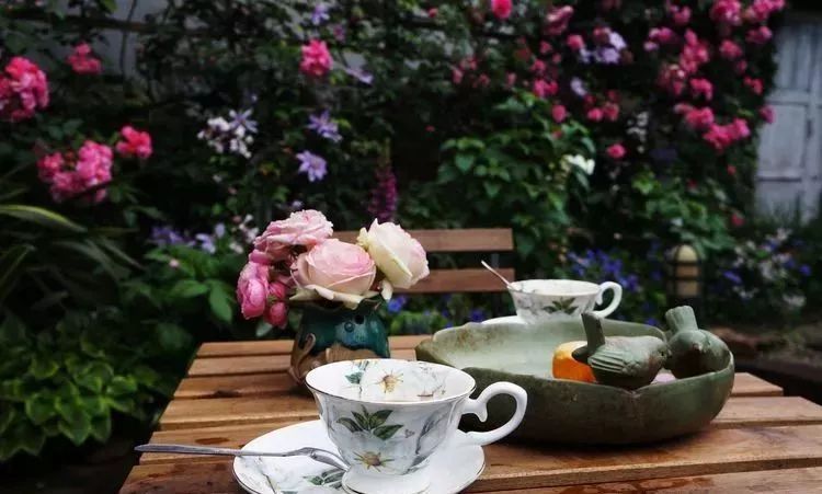 她花了4年，用月季，铁线莲，绣球把农村破败的小院打造成了花海，惊艳了时光-101