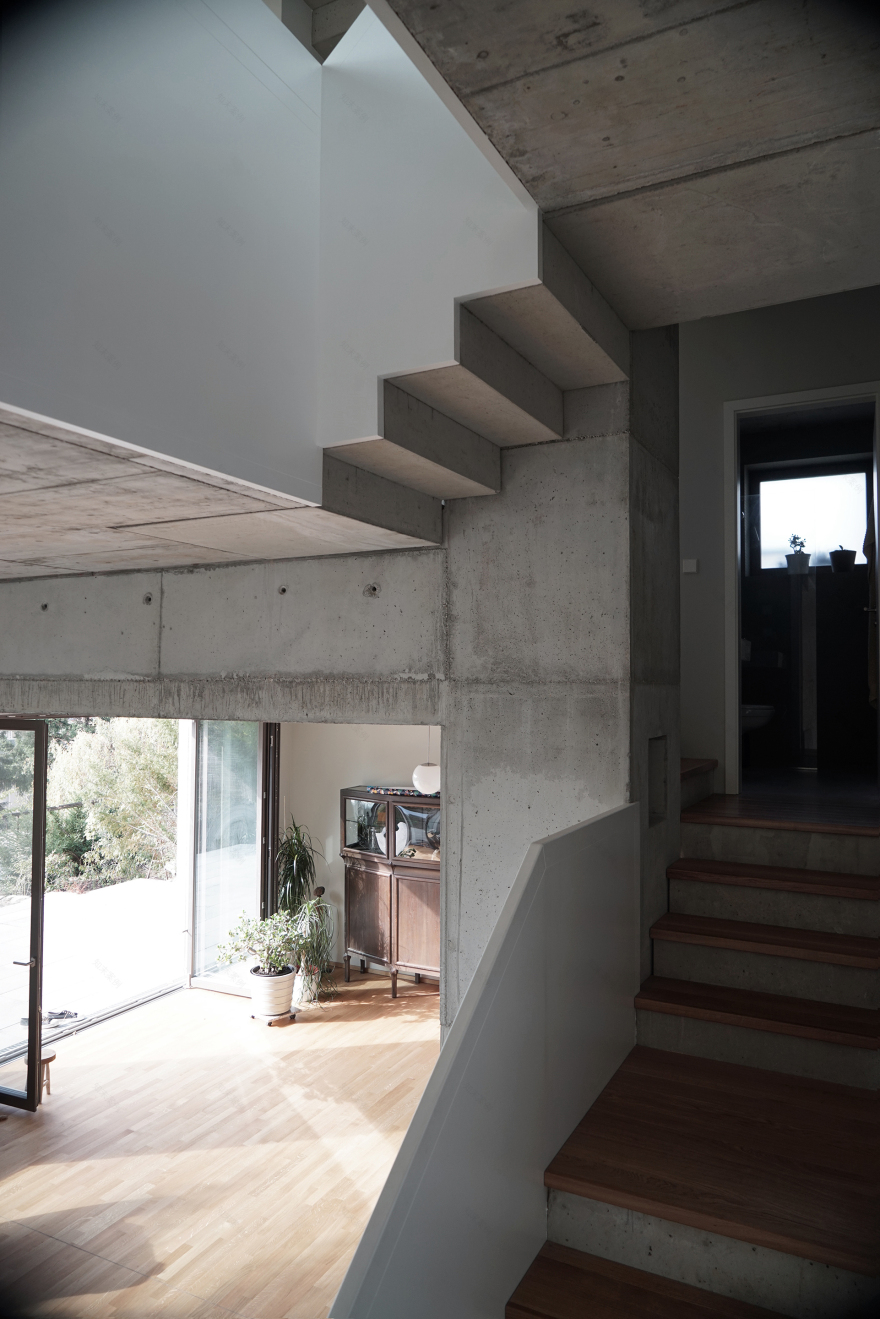 塔式住宅丨德国德累斯顿丨Löser Lott Architekten-13