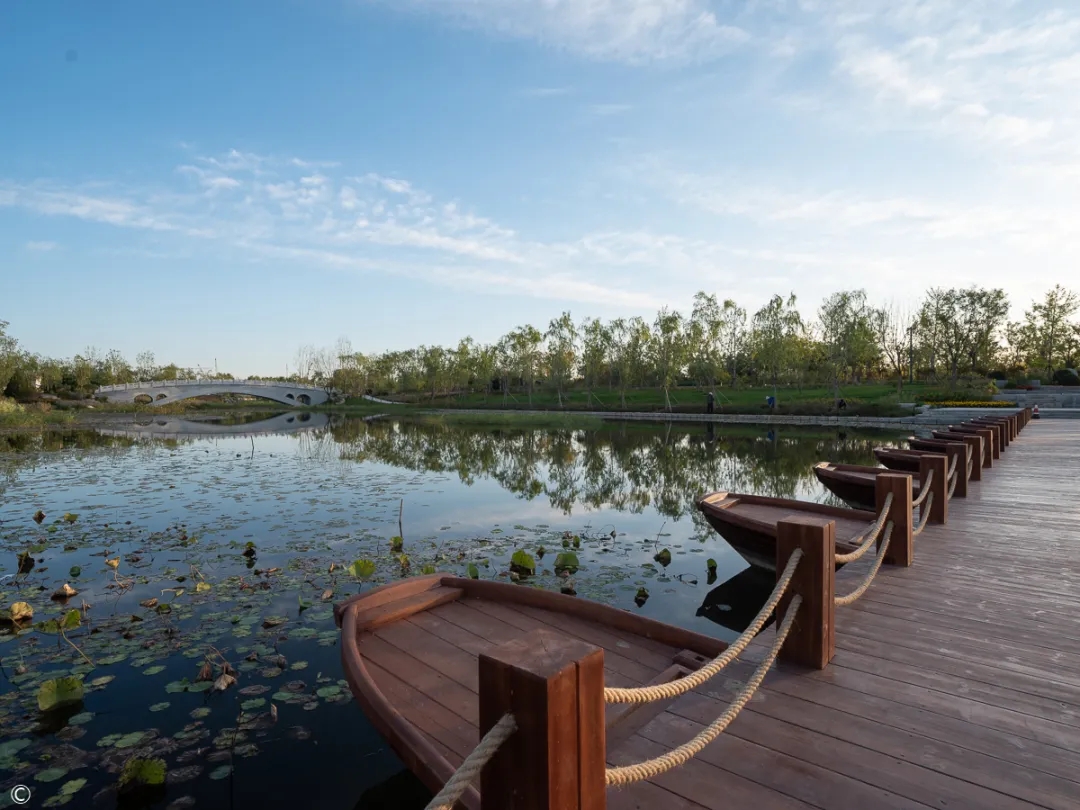 通州城市绿心森林公园丨中国北京丨北京建院-9