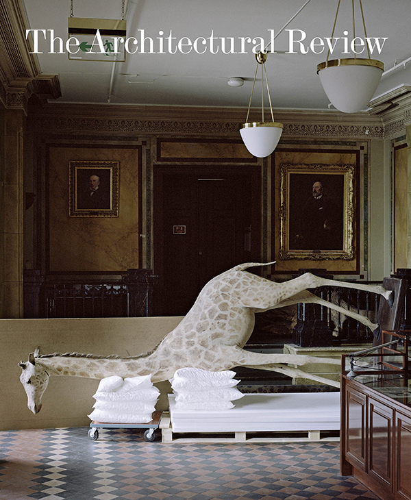 西班牙布鲁内特犬类培训学校丨西班牙马德里-28