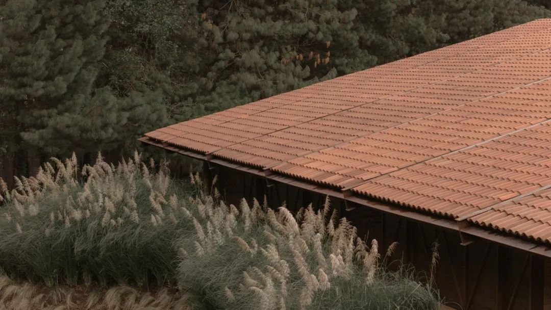 马术圣拉蒙丨墨西哥丨Módica Ledezma-20