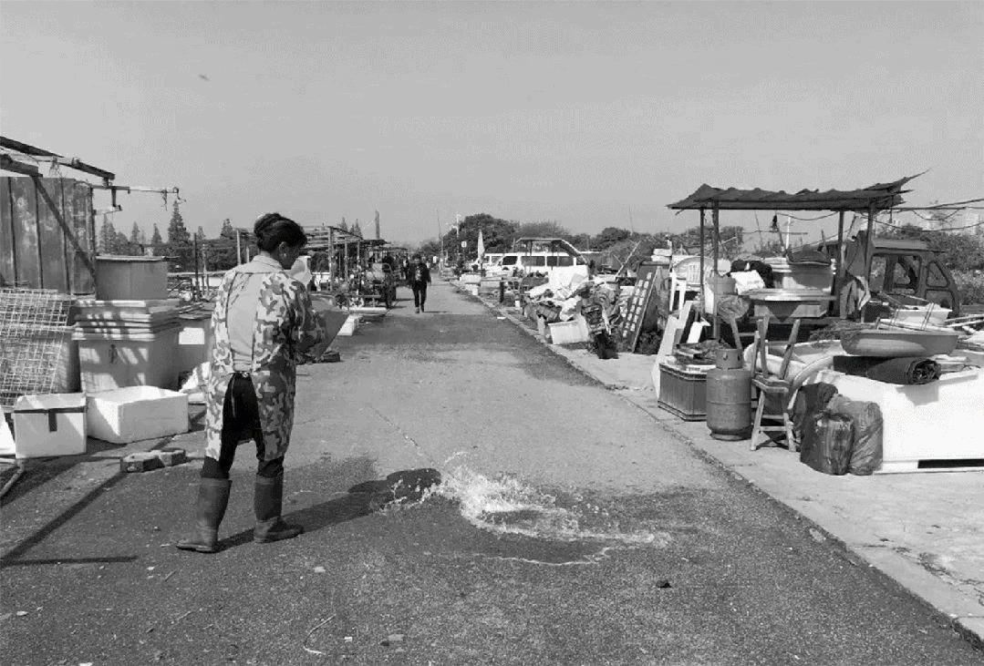 从繁华渔港到生态胜地,重构太湖周边生态面貌 | 太湖流域小溪港鱼咀公园-18