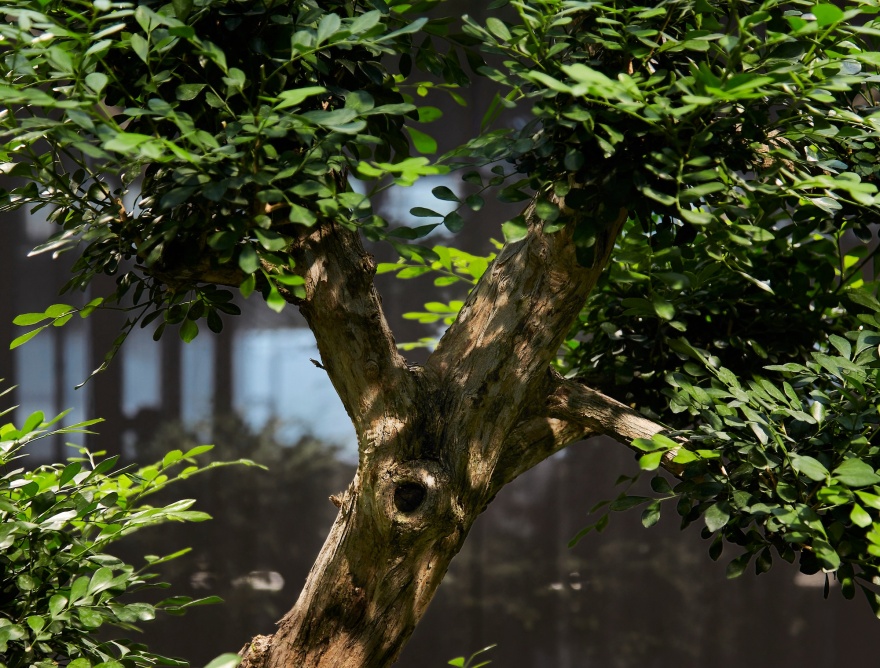 归谷科技园丨中国广州丨Gensler-80