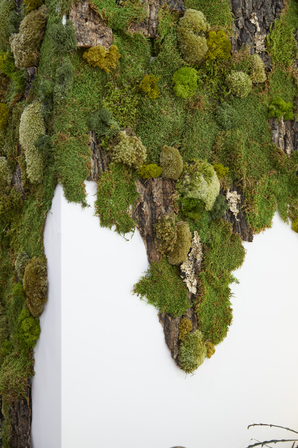 现代植物咖啡厅，30 平米空间里的绿色美学-17