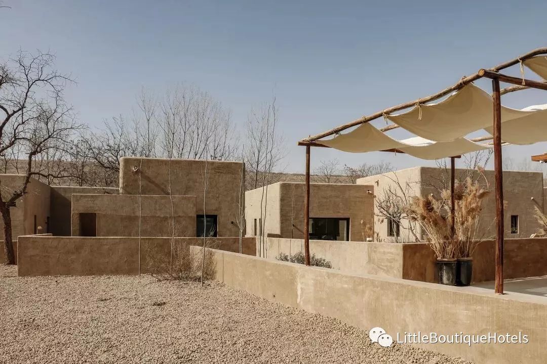 大乐之野·中卫沙坡头 | 原生态黄河沙漠民宿设计-1