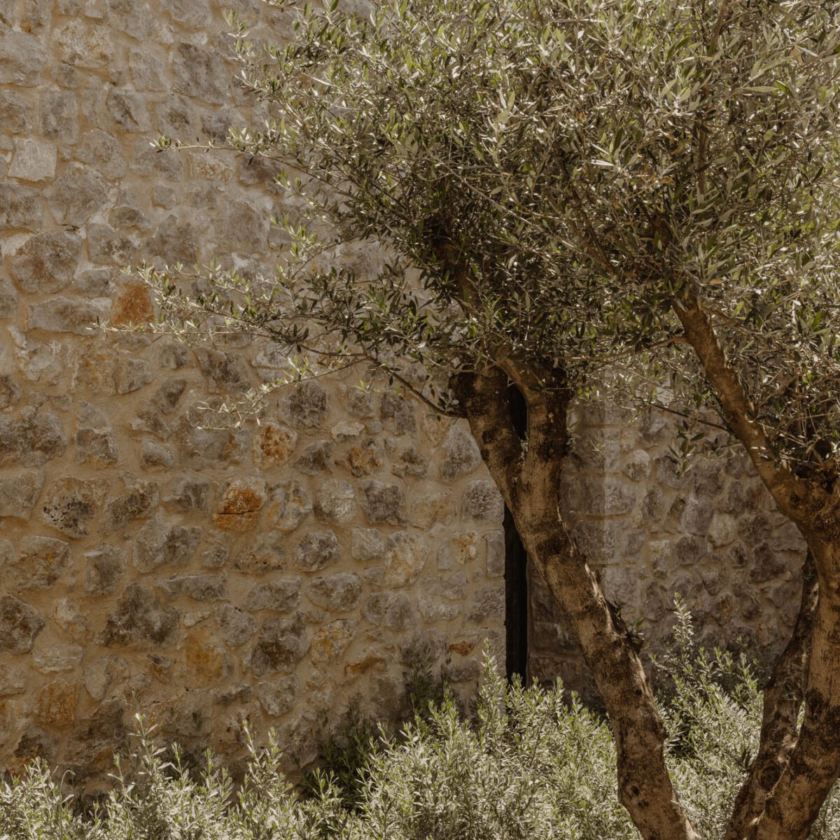 南沃德大厦丨希腊丨KStudio-32