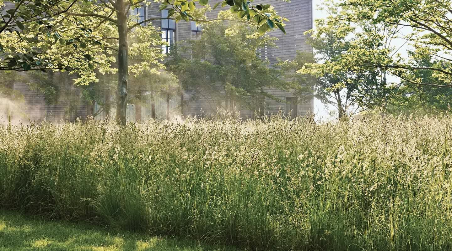 长岛 Wainscott 农场-6