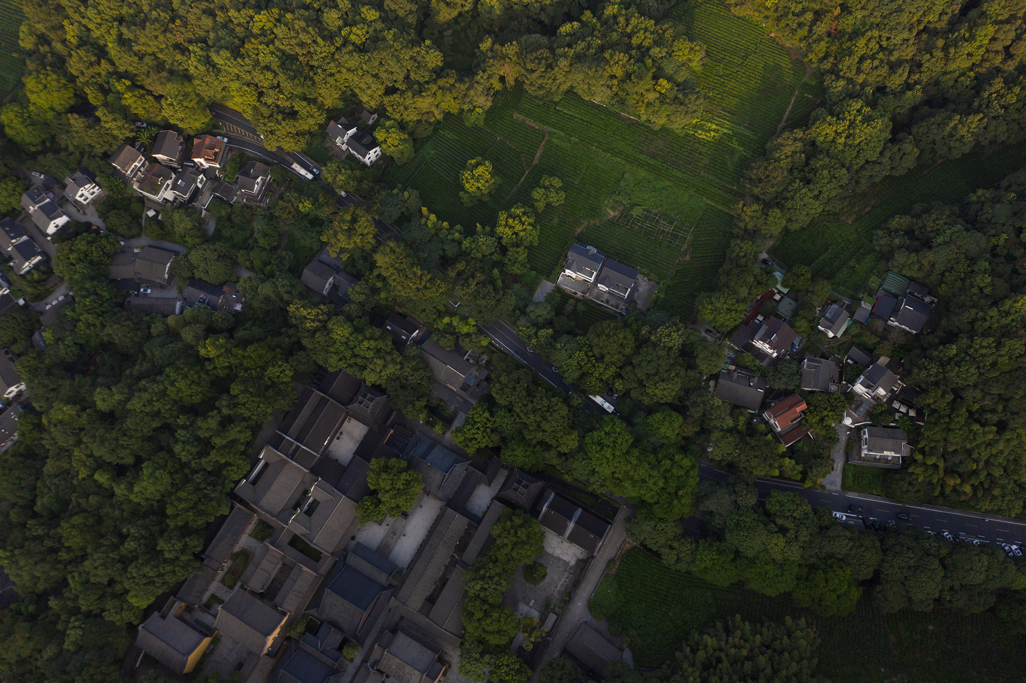 杭州觅隐茶空间丨中国杭州丨杭州衍野空间设计-5