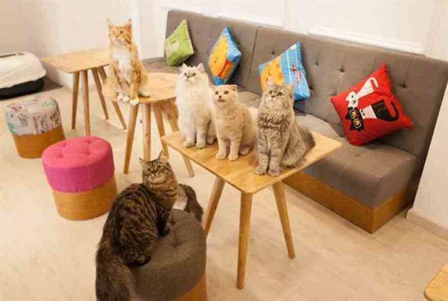 Oromia Coffee 咖啡馆丨越南河内-31