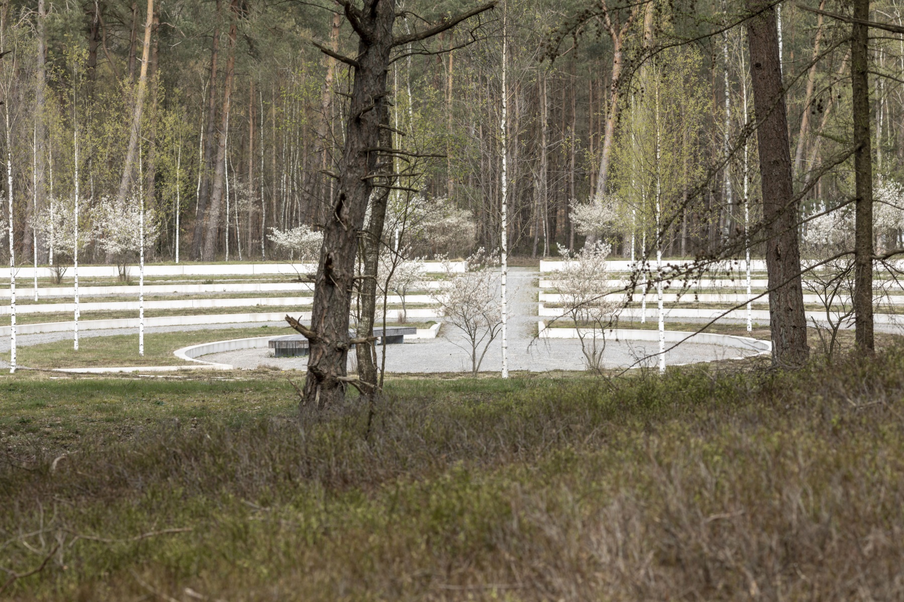 卢嫩纪念公墓扩建-20