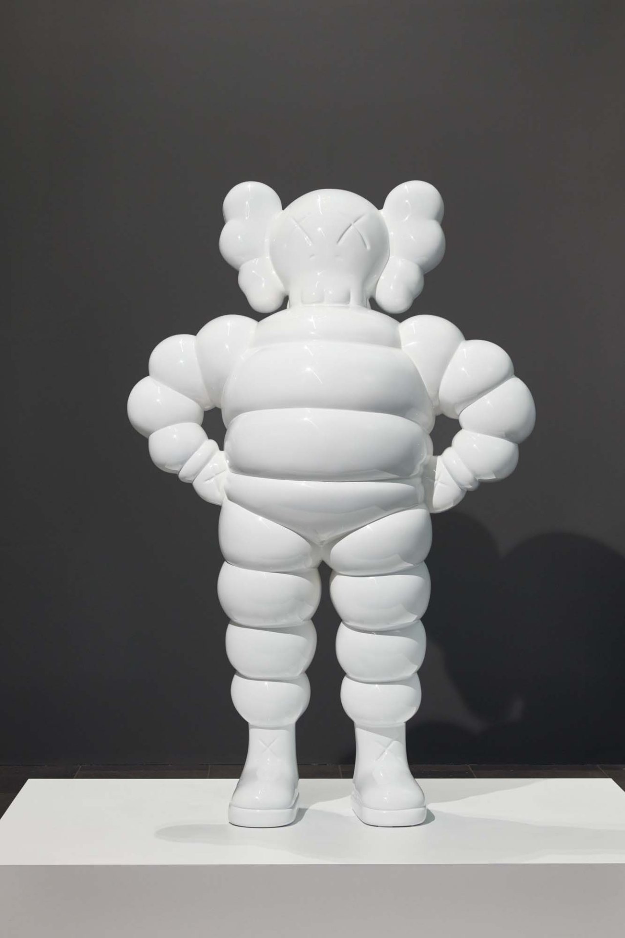 考斯：孤独时代的陪伴-8