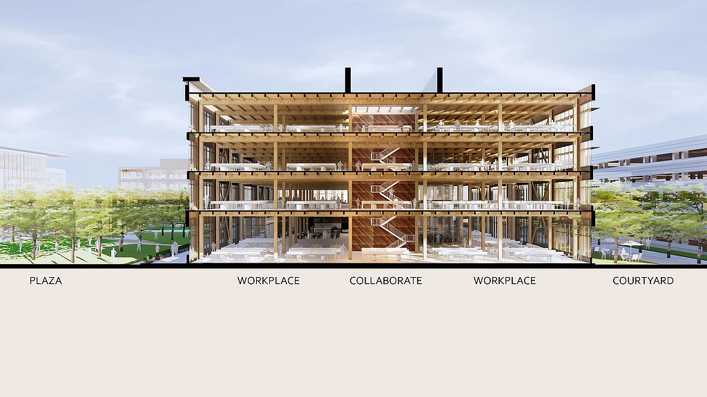 美国最大木材园区 | 沃尔玛新总部-2
