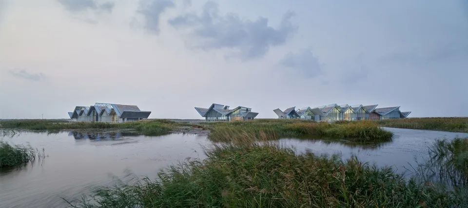 "一体两面"的崇明东滩湿地科研宣教中心-188