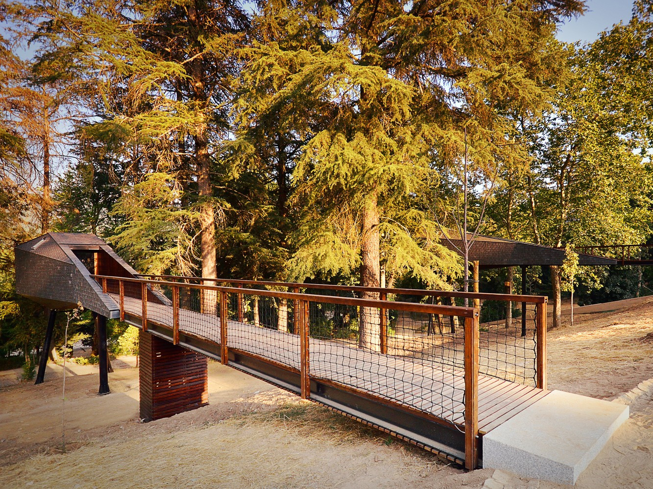 葡萄牙林间蛇型民宿-4