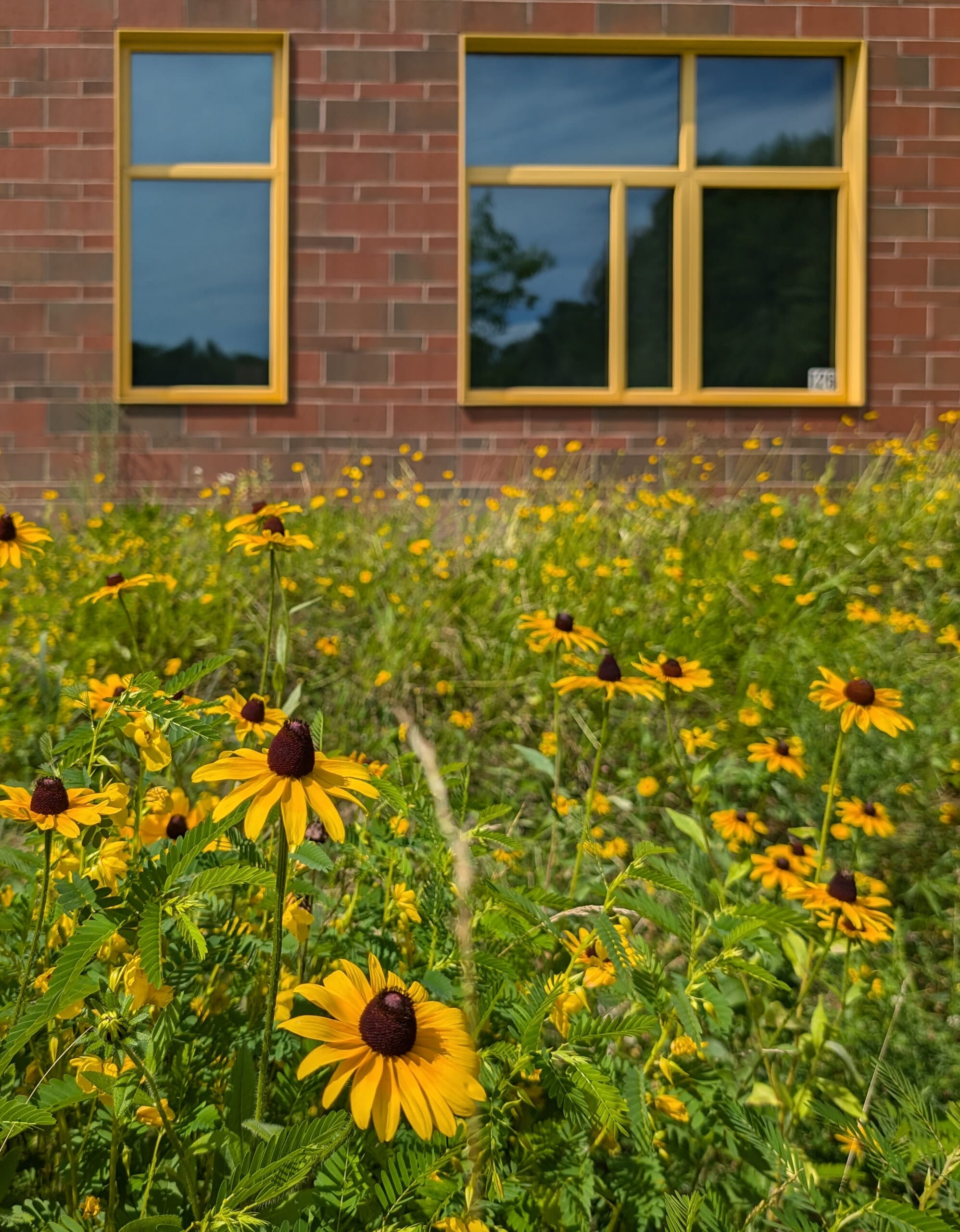 SHAW ELEMENTARY SCHOOL - Dodson & Flinker - Landscape Architecture and Planning-15