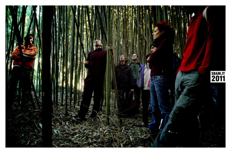 意大利Massarosa  Stiava实验性竹制网格壳丨工作  组AK0,意大利竹子协会（A.I.B.）-10