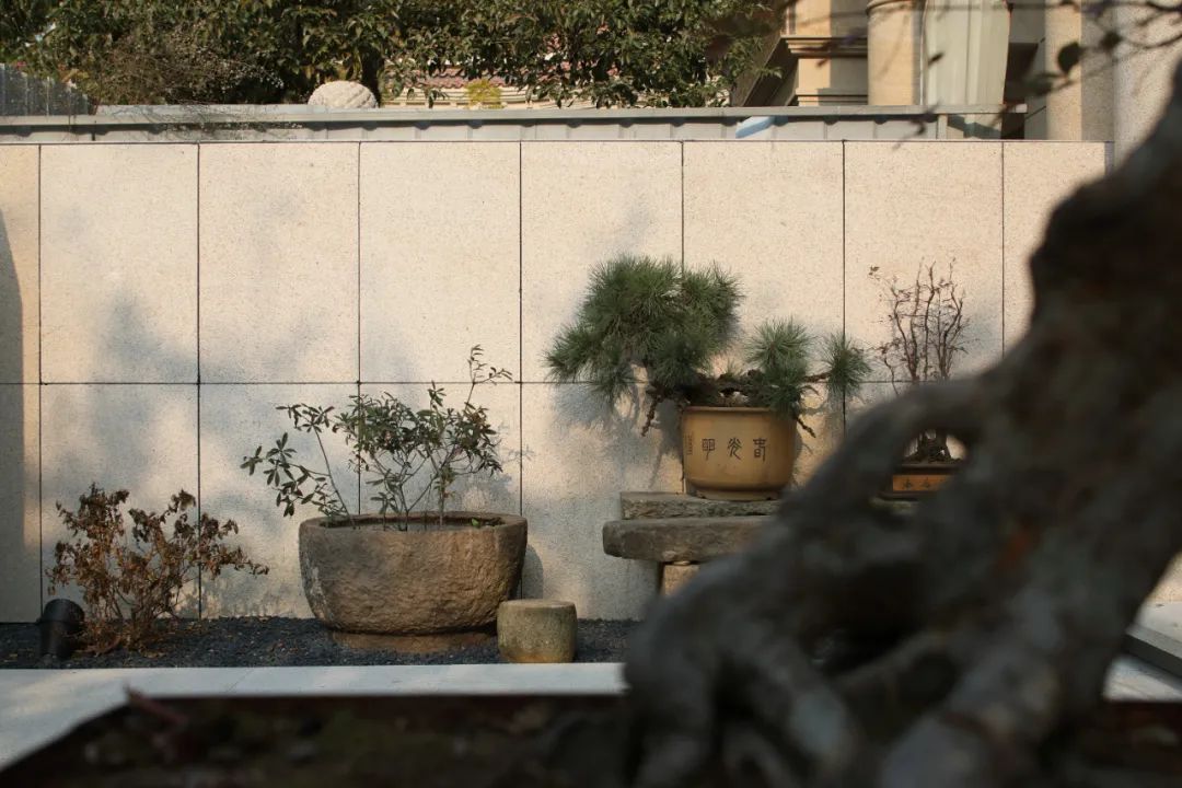 心·自由丨中国厦门丨威尔思装饰-3