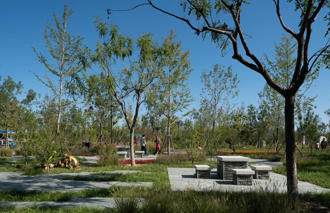 通州城市绿心森林公园丨中国北京丨北京建院-23