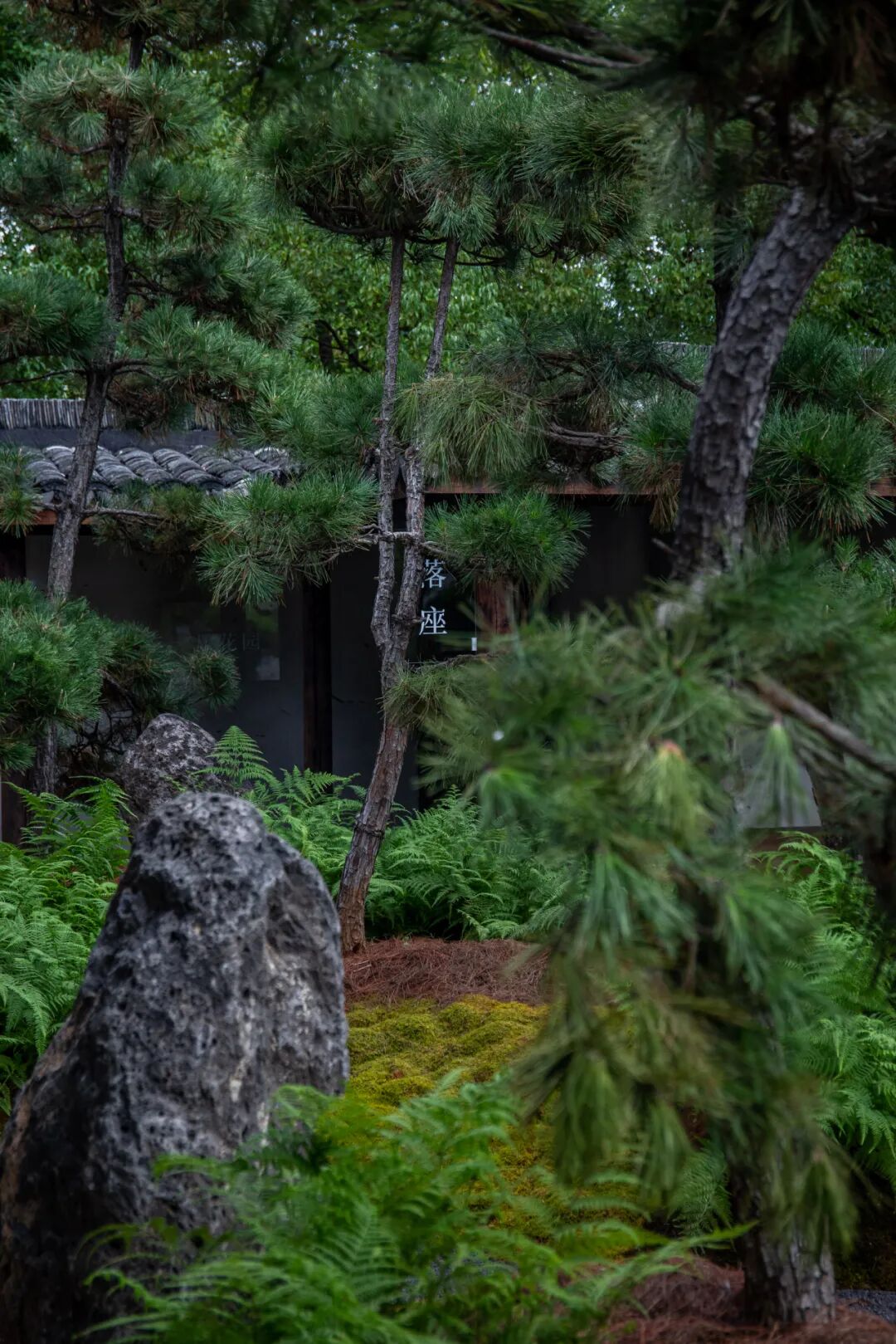 未竟园|当浦东百年历史民宅遇见京都苔寺，会生出怎样的新花园？-140