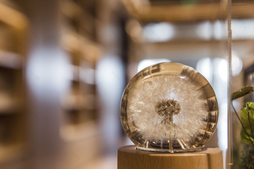 言几又北京王府中环店-56