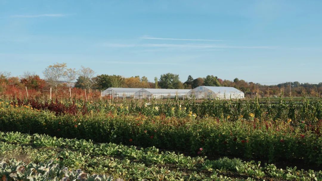 野花农场度假村丨美国纽约丨Auberge Resorts Collection-5