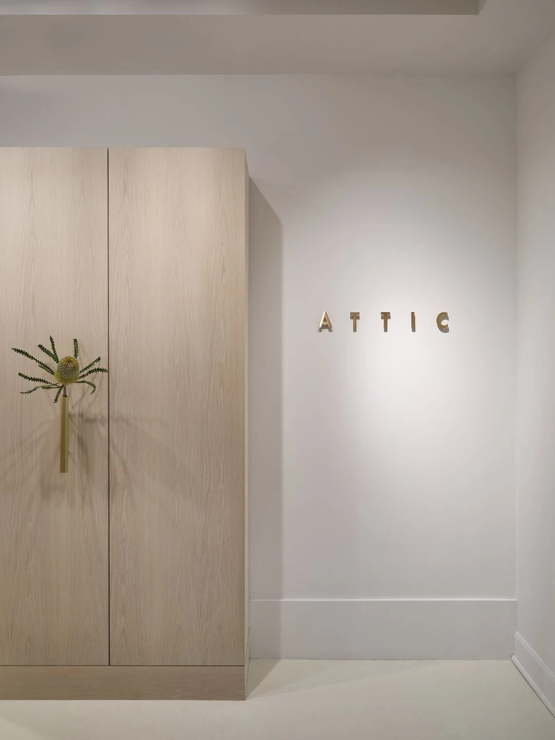 ATTIC 东端工作室设计丨加拿大多伦多丨Simone Ferkul Projects-5