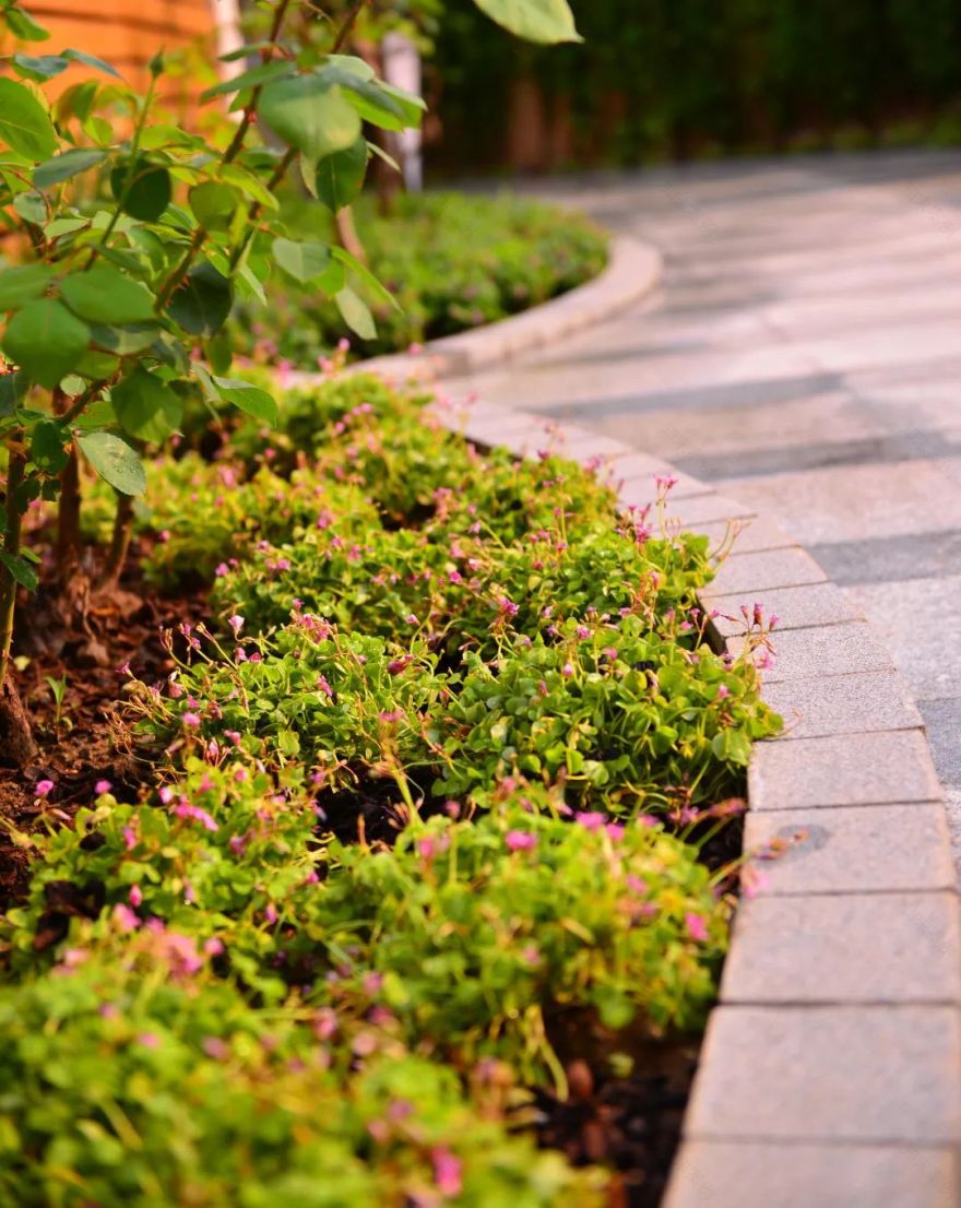 打造独特私家花园,体验简约宁静之美-52