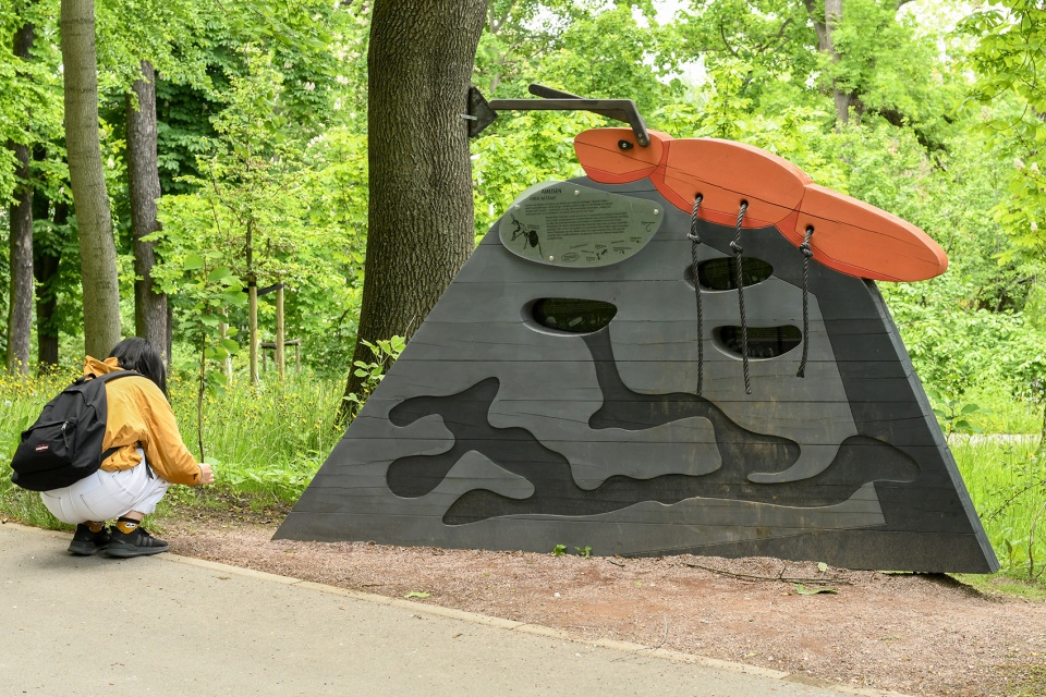 埃尔福特艾格公园知识森林丨德国丨德国雷瓦德景观建筑事务所-50