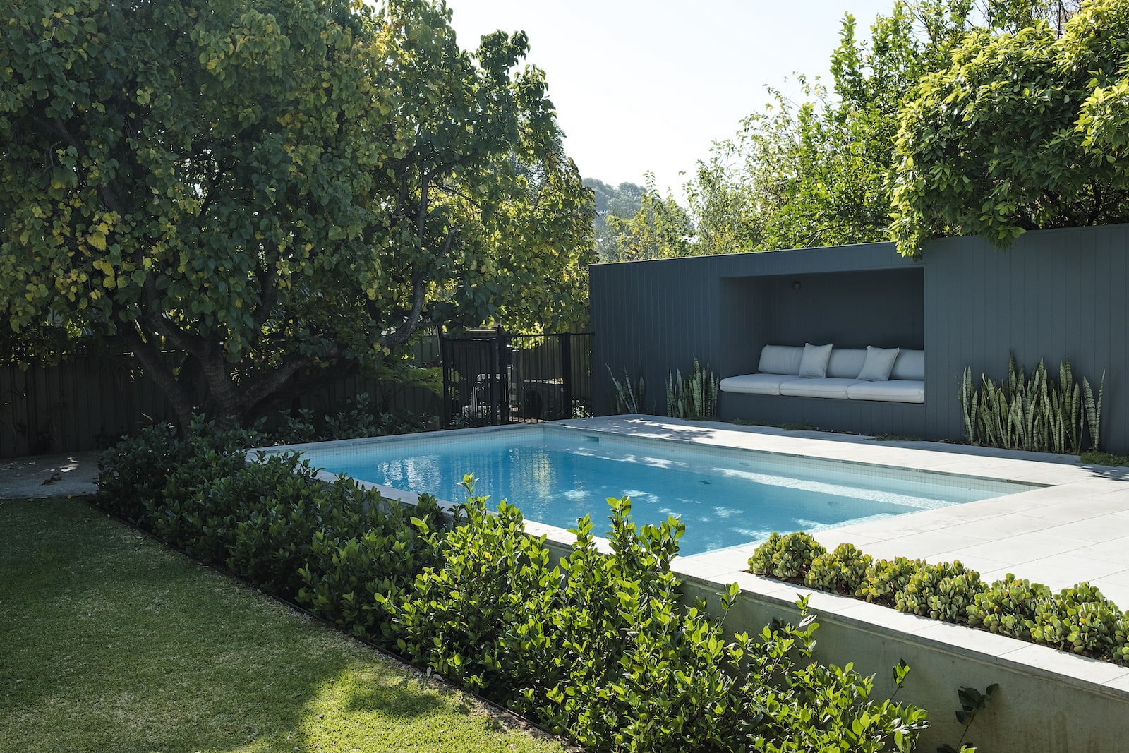 Floreat景观,Vodka Palace景观,小空间景观丨Tim Davies Landscaping-22