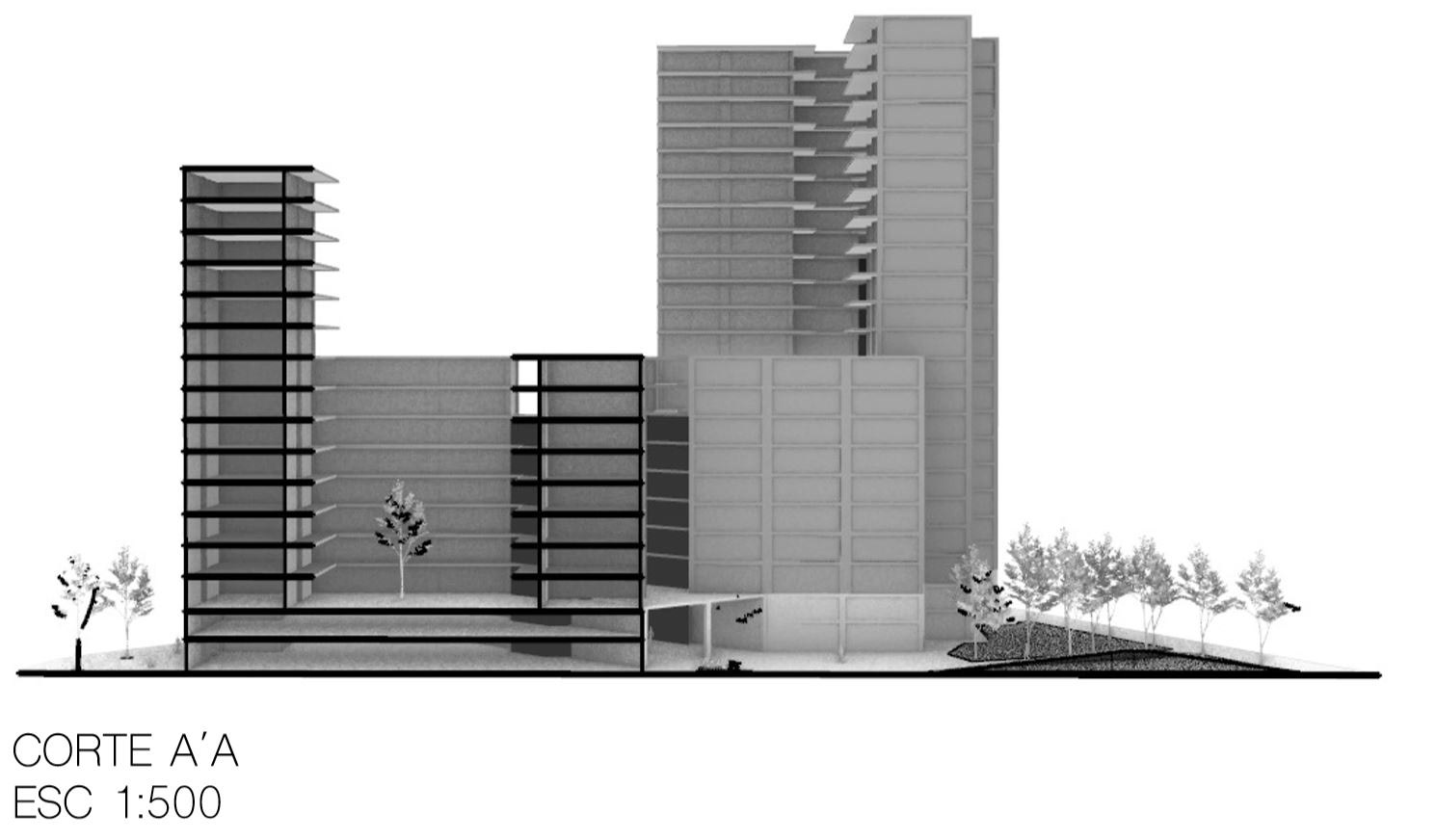 组装苹果项目丨哥伦比亚-16