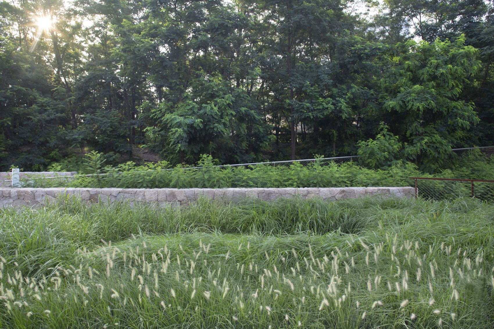 阿那亚儿童农庄,秦皇岛 / 张唐景观-77