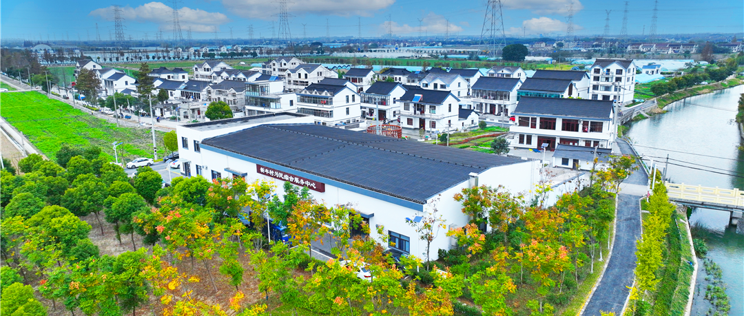 境作|恋“练”春光，“宝藏”踏青地：青浦徐练村，有多好逛？-174