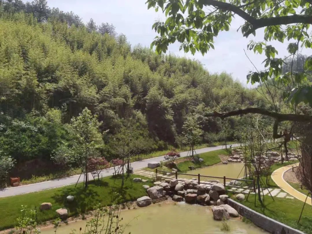 华东药用植物园丨中国丽水丨上海市园林设计研究总院-20