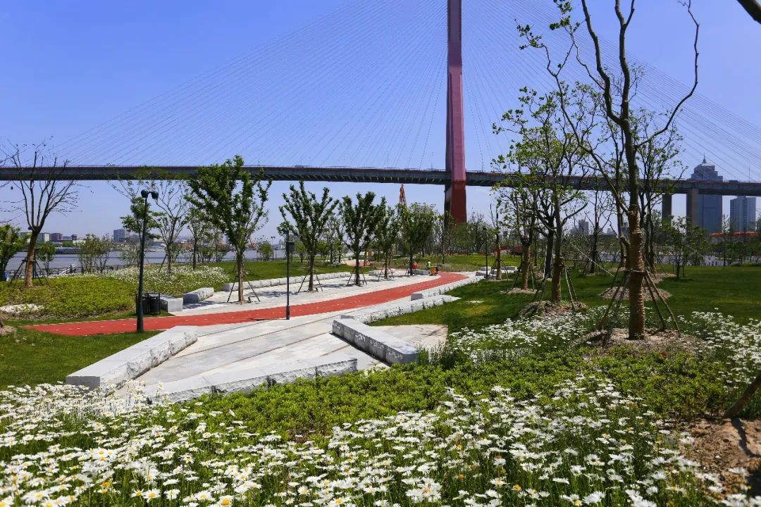 亦境那些人 | 姚素梅的绿化设计之路-29